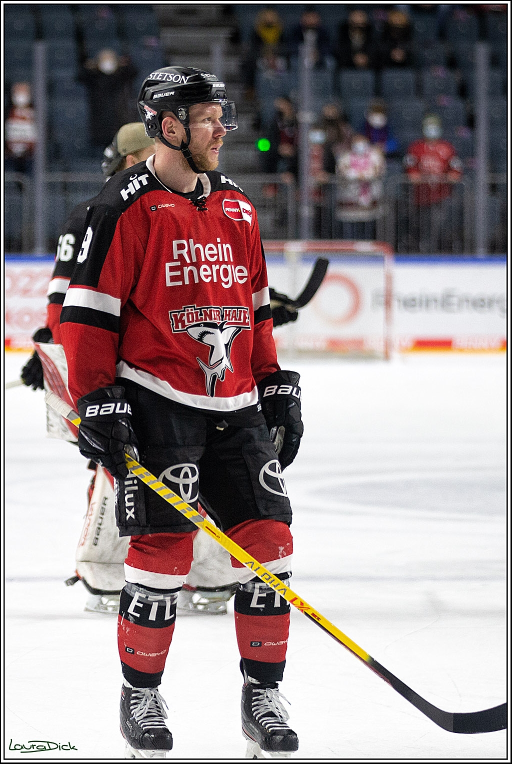 PENNY DEL; Koelner Haie- ERC Ingolstadt; Koeln, 19.12.2021